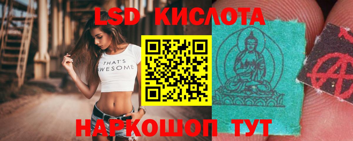 Заводоуковск  Лсд 25 экстази ecstasy  Вход с VPN 