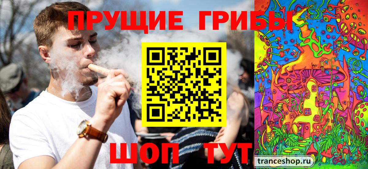 Псилоцибиновые грибы GOLDEN TEACHER  Вход с VPN  Заводоуковск  Псилоцибиновые грибы мухоморы 